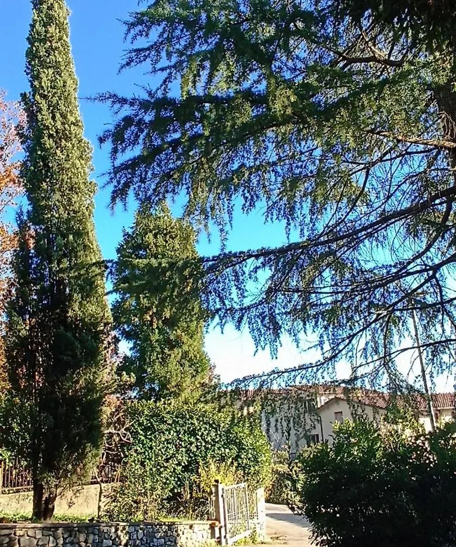 Casa Lia Apartment Anghiari Italy